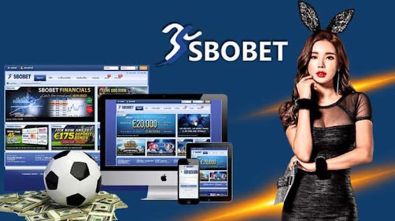 Giới thiệu sảnh thể thao Sbobet